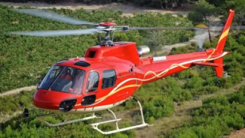 合肥市人民代表大会常务委员会关于促进低空经济发展的决定